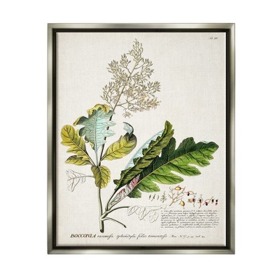 Stupell Industries Botanical Plant Illustration Leaves Vintage Design