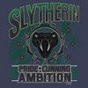 Mens Harry Potter Slytherin Pride and Ambition Tank Top - 2 of 4