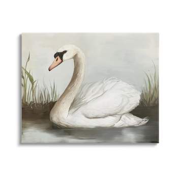 Stupell Industries Swan in Pond Painting Canvas Wall Art