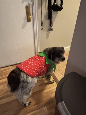 Guest review image 1 of 2, zoom in