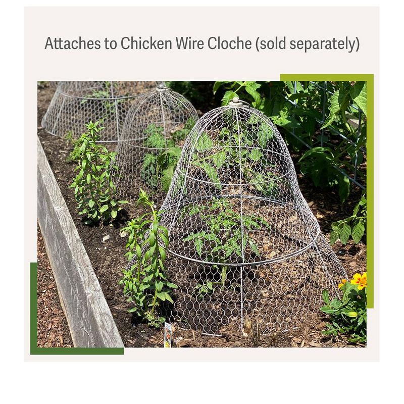 Gardener’s Supply Company Sturdy Chicken Wire Cloche Plant Protector Extension | Adds Broader Area Coverage Protection for Tall Plants Vegetables &, 4 of 5