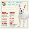 Country Brook Petz Premium Dog Collar - Christmas Collection - 2 of 4