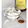 Swanson Vitamin B Benfotiamine - Maximum Strength 300 mg Veggie Capsule 60ct. - 3 of 3