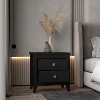 NicBex Nightstand with 2 Drawers,Modern Bedside Table with Wood Frame and Pulls,Side Table for Bedroom,Living Room - 2 of 4