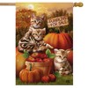 Fall Kittens Pumpkins House Flag Apple Basket Autumn 28" x 40 Briarwood Lane - 2 of 4