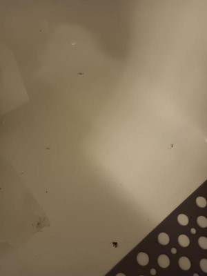 Guest review image 1 of 3, zoom in