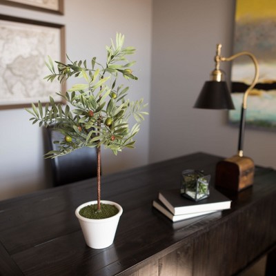27" Potted Artificial Green Olive Tree in White Container