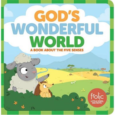God's Wonderful World - (Frolic First Faith) by  Jennifer Hilton & Kristen McCurry (Hardcover)