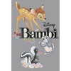 Boy's Bambi Movie Logo With Flower and Thumper Pull Over Hoodie - 2 of 4