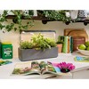iDesign Countertop Self-Watering Plant Pot Center with Grow Light and 3 Plant Pots, Charcoal - 4 of 4