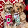 Starbarks Puppermint Mocha Holiday Cups | Christmas Dog Toys - 2 of 4