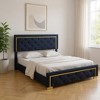 HomeRoots Black Tufted Velvet Upholstered Queen Bed Frame - 2 of 4
