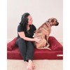 Big Barker 7" Orthopedic Dog Bed - Sofa Edition - 2 of 4