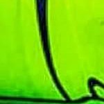 1 count (pack of 240)