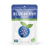 Nature's Turn Freeze-Dried Fruit Snacks - Blueberry Crisps - No Sugar Added, Non GMO, Gluten Free, Nothing Artificial 15g (0.53oz) - 12 Pack - 2 of 4