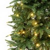 National Tree Company First Traditions Pre-Lit LED Slim Duxbury Artificial Christmas Tree Warm White Lights - 2 of 3