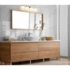 Astor 4-Bulb Glass Vanity Light Fixture - Modern Design for Bathroom, Dimmable, Damp Rated - 4 of 4