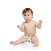 The Honest Company Disposable Diapers - (Select Size and Pattern) - image 2 of 4