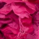 fuchsia/multi