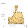 Black Bow Jewelry 14k Yellow Gold Texas Christian Horned Frogs NCAA Medium Pendant - 2 of 3
