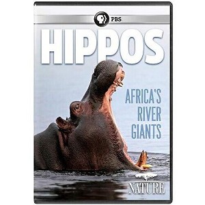 NATURE: Hippos: Africa's River Giants (DVD) - 1 of 1