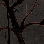 midnight black
