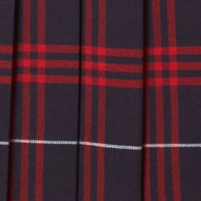 navy red plaid
