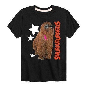 Boys' - Sesame Street - Snuffleupagus Photo Short Sleeve Graphic T-Shirt - 1 of 4