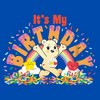 Boy's Care Bears Sweet Celebrations Bear It's My Birthday T-Shirt - 2 of 4