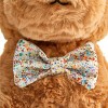FAO Schwarz 12" Mutt with Bunny Ears Toy Plush - 3 of 4