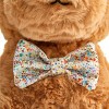 FAO Schwarz 12" Mutt with Bunny Ears Toy Plush - image 3 of 4