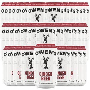 Owen’s Craft Mixers | Ginger Beer | Handcrafted in the USA with Premium Ingredients | Vegan & Gluten-Free Soda Mocktail and Cocktail Mixer - 1 of 3