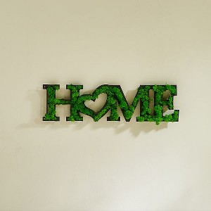PAGED Eco-Friendly Preserved Moss Metal Wall Art, Wrought Iron Frame Wall Decor, Dynamic Letter Arrangement Framed Wall Art for Living Room - 1 of 4