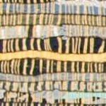 yellow/multi