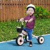 Vynxaria Kids Blance bike for Toddlers Age 2-5 with Adjustable Seat, Toddler Bike for Children with Basket, Bell, Handlebar Grips,  Pink - 2 of 4