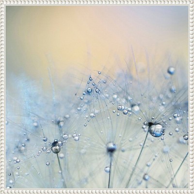 Ice Blue Dandelion Macro Canvas Print with White Floater Frame