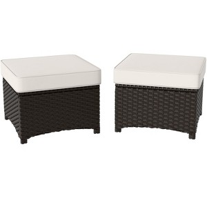 EAGLE PEAK Azure Bay 2 Piece Wicker Patio for Patio Deck Backyard Poolside - 1 of 4