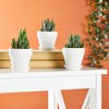 Juvale 12 Pack White Clay Mini Terracotta Pots with Saucers and Drainage Hole, Paintable Pottery for Succulents, Crafts, and Wedding Decor, 3 Inch - 4 of 4