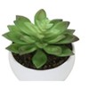 NicBex Set of 3 Succulent in Cement Pots, 6"H Faux Fake Plants Artificial Plants Indoor, Tabletop Greenery for Desk, Shelf & Windowsill Decor - 2 of 4