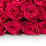 Red/Pink