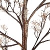 Indoor/Outdoor Electric Lighted Faux Gypsophila Twig Tree, 6' Tall - 3 of 4