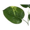 Maggift Artificial Plant Dieffenbachia Tree Indoor Faux Fake Floor Greenery Potted Real Touch Decorative Green Leaves Black Pot, Green, 27"*26"*54" - 4 of 4