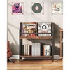 MOEPISY 2-Tier Vinyl Record Storage Holder Rack, 250 LP Albums Display Shelf - 2 of 4