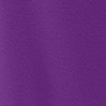 purple orchid