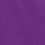 purple orchid