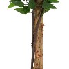 KTMBDW Ficus Artificial Trees with 2 Natural Curved Trunks, Tall Lush Faux Tree, Green Lifelike Fake Ficus Tree for Home Decor Indoor - 4 of 4