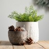 Sullivans Cement Planter with Tree Set of 2, 6.75"H & 5"H Gray - 3 of 3