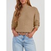 Coolmee Womens Turtleneck Sweaters Casual Long Sleeve Pullover Chunky Knit Jumper Tops - 3 of 4