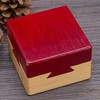 Probe Hues Interlocking Wooden Cognitive Puzzle - 2 of 3