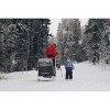 Burley Ski Kit - 4 of 4